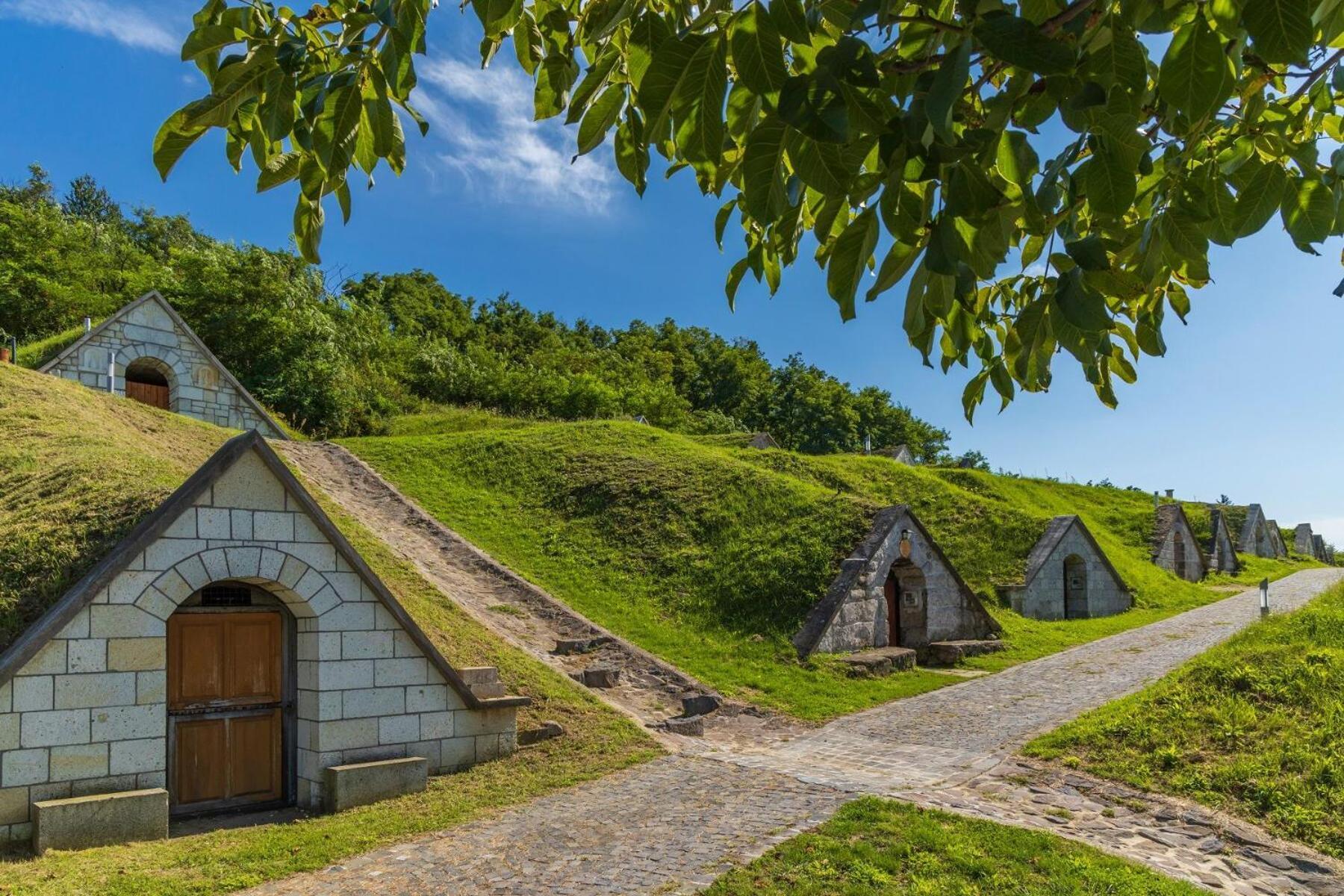 Lavender Vendeghaz Kicsi Falu Nagy Szivvel Varazslatos Legkoerrel Apartman Golop Kültér fotó